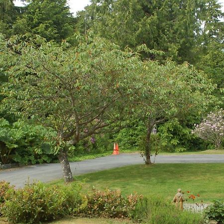 The Outside Inn Ucluelet Chambre photo