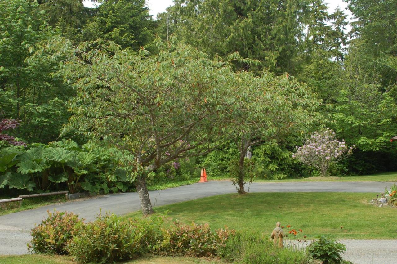 The Outside Inn Ucluelet Chambre photo